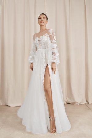 DSC02540_1 copy DSC02540_1 copy