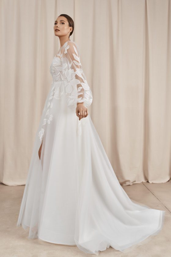 DSC02545_1 copy DSC02545_1 copy